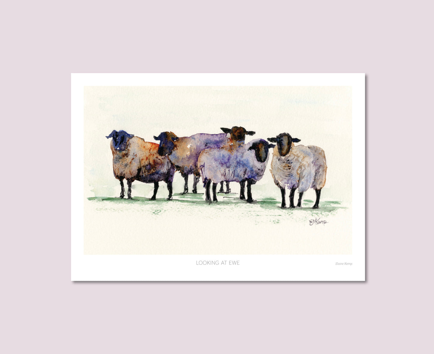 Looking At Ewe Sheep Watercolour Print